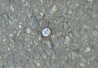 ���E�W�@�e