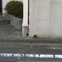 �y�n�@���E